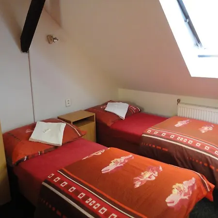 U Nadrazi Hotel 3*