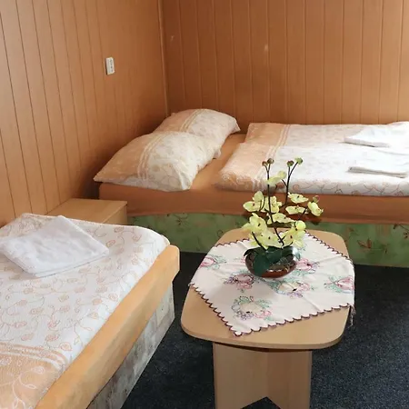 U Nadrazi Hotel 3*