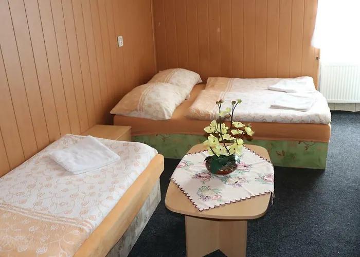 U Nadrazi Otel 3*